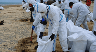 Volunteers liquidate the fuel oil (mazut) spill on a beach. Screenshot of a photo posted on the Telegram channel of the operational headquarters of the Krasnodar region on January 9, 2025 https://t.me/opershtab23/10176