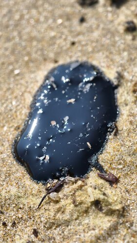 Liquid fuel oil on the sand on the beach of Anapa on June 17, 2025. Screenshot of the post in the "Makovozovs" Telegram channel https://t.me/makovozovy/38686 Liquid fuel oil on the sand on the beach of Anapa on June 17, 2025. Screenshot of the post in the "Makovozovs" Telegram channel https://t.me/makovozovy/38686