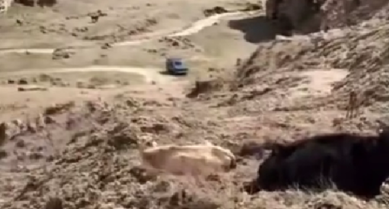 A blocked road to the village of Guimi. Still from video: https://www.instagram.com/p/DW_alk2DH5d/ (Meta, the company that owns the social network, is banned in Russia). A blocked road to the village of Guimi. Still from video: https://www.instagram.com/p/DW_alk2DH5d/ (Meta, the company that owns the social network, is banned in Russia).