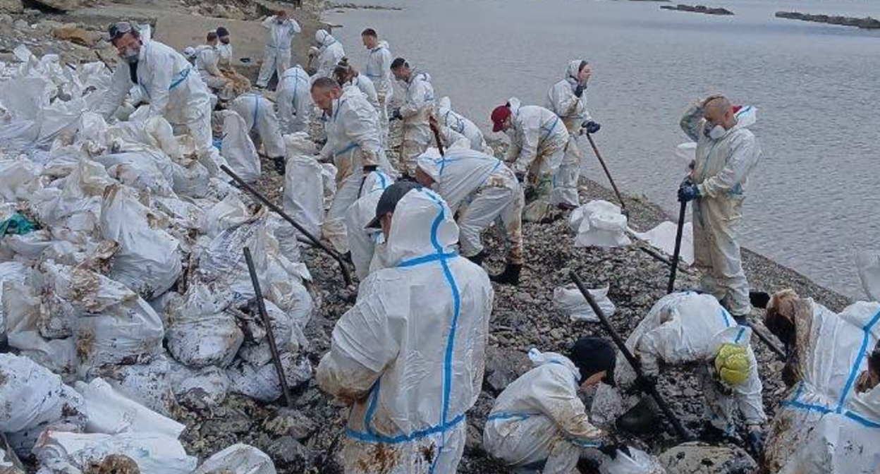 Volunteers clean the beach in Tuapse. Screenshot from the Dolphins headquarters Telegram channel, May 2, 2026, https://t.me/shtab_delfin/2580 Volunteers clean the beach in Tuapse. Screenshot from the Dolphins headquarters Telegram channel, May 2, 2026, https://t.me/shtab_delfin/2580