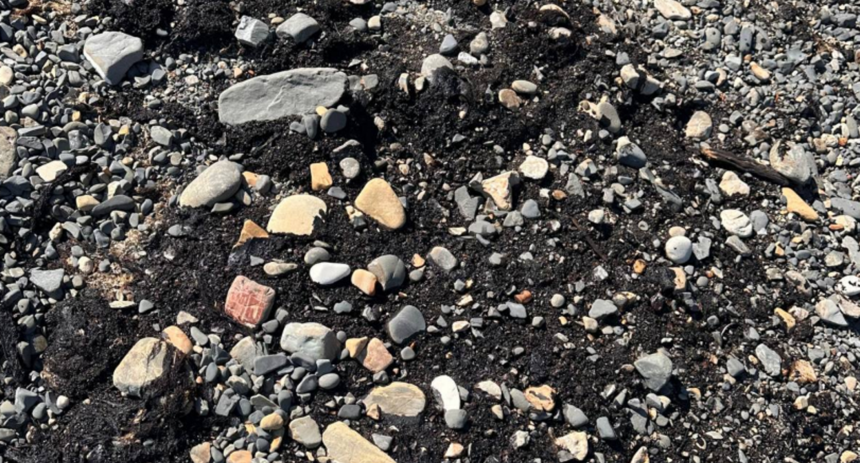 Pollution on the beach near the Elektron sports camp. https://t.me/razlivnasvyazi/1106/331235 Pollution on the beach near the Elektron sports camp. https://t.me/razlivnasvyazi/1106/331235