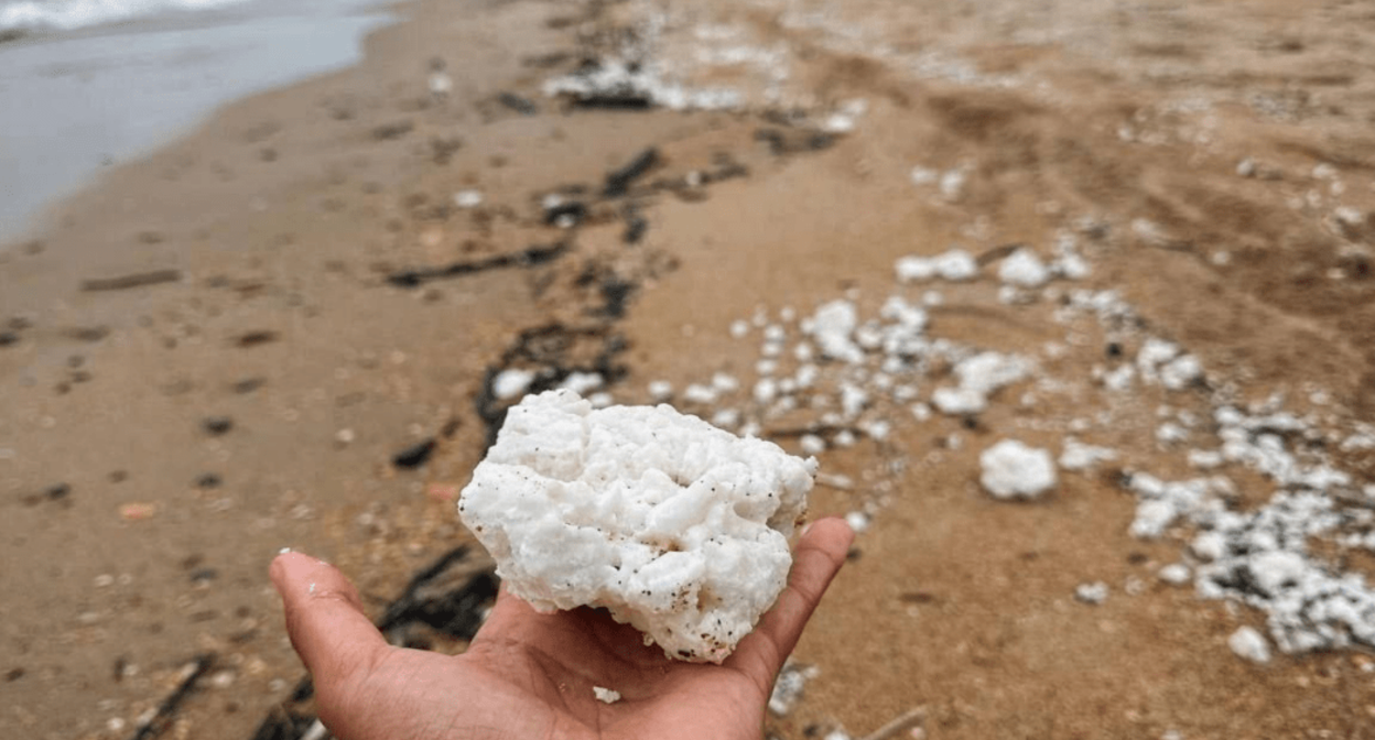 Palm oil clumps on the shore. Screenshot from Yuri Ozarovsky's Telegram channel, April 8, 2025, https://t.me/MoreOz/92874. Palm oil clumps on the shore. Screenshot from Yuri Ozarovsky's Telegram channel, April 8, 2025, https://t.me/MoreOz/92874.