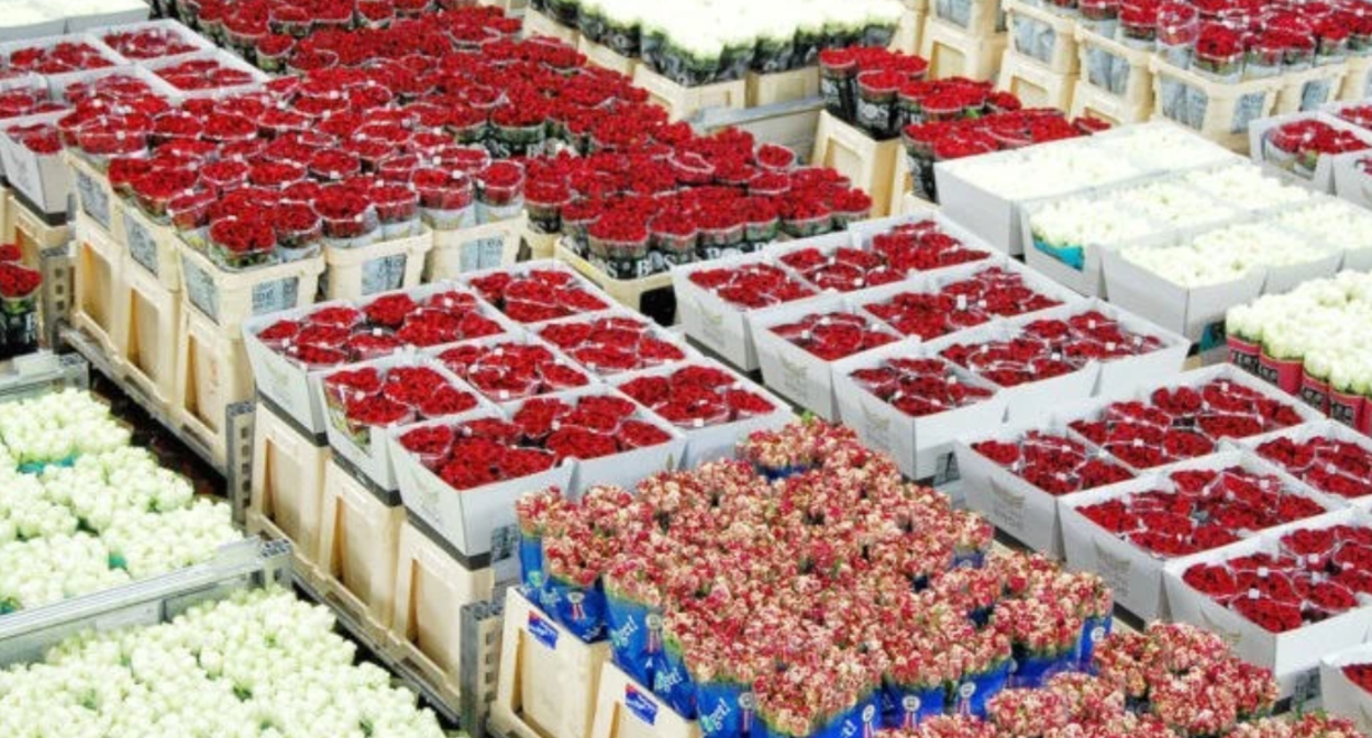 Flowers at a wholesale market. Screenshot from News.Am, June 22, 2026, https://news.am/ru/news/1045090 Flowers at a wholesale market. Screenshot from News.Am, June 22, 2026, https://news.am/ru/news/1045090