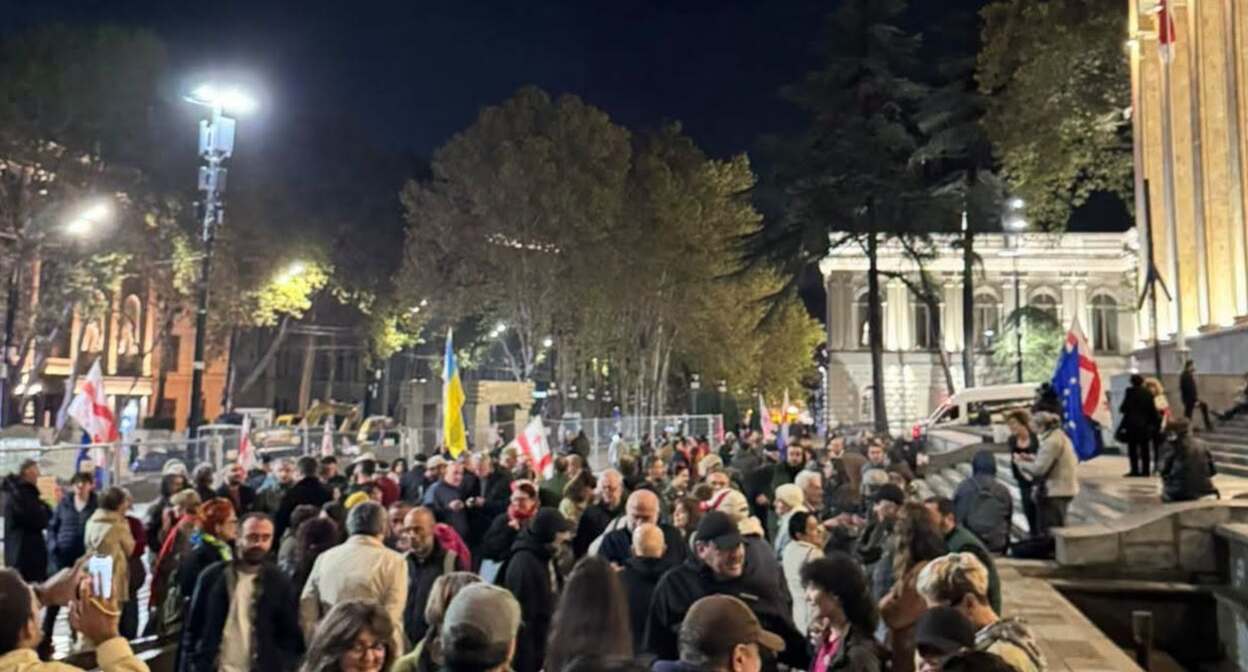 Participants of the protest action in front of the Parliament of Georgia. Photo: Photo: Giorgi Mumladze / Facebook* Participants of the protest action in front of the Parliament of Georgia. Photo: Photo: Giorgi Mumladze / Facebook*